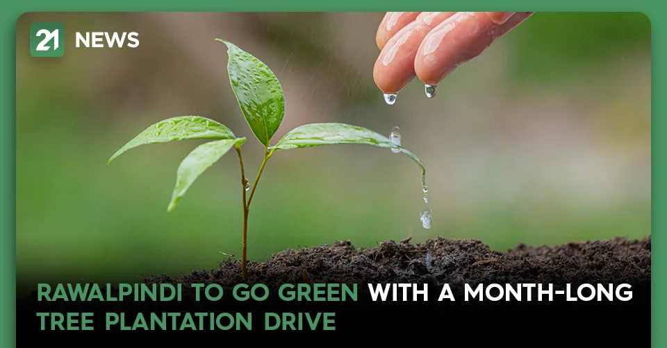 Rawalpindi To Go Green With A Month-Long Tree Plantation Drive