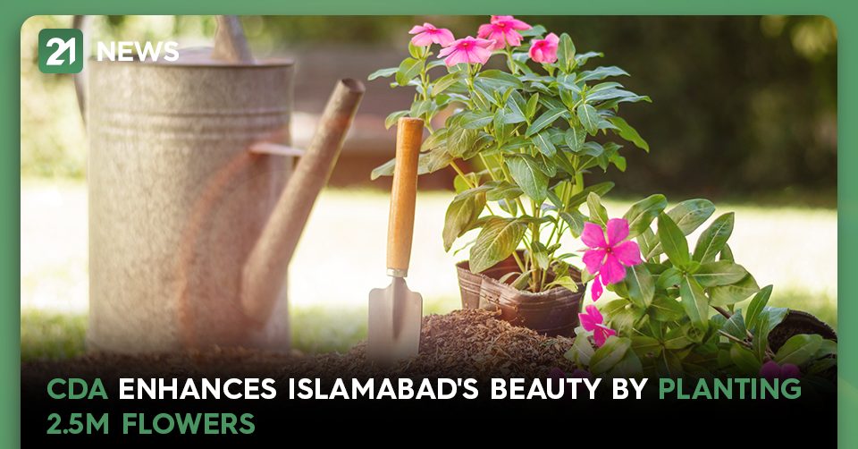 CDA Plants 2.5m Flowers In Islamabad To Revive The Colors Of Spring