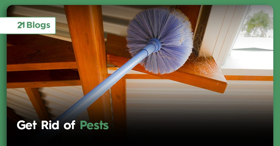 Get rid of those pests